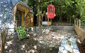 Forest House